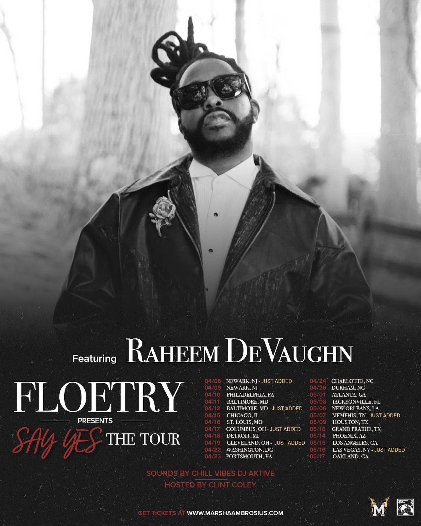 Raheem DeVaughn Say Yes, The Tour Poster 2026